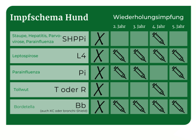 Was Kostet Eine Impfung Beim Hund