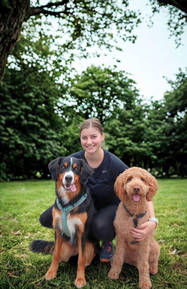 TH WordPress Vorlage Größe Fotos (646 x 1000 px) (1)